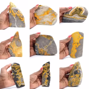 Bumblebee Jasper