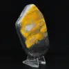 Bumblebee Polished Indonesia Collectie - 3