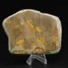 Authenticiteitsdecoratie van een Jasper hommel-exemplaar - 4