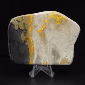 Authenticiteitsdecoratie van een Jasper hommel-exemplaar