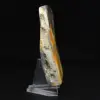 Authentiek Jasper Hommel Ornament Decoratie - 5