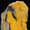 Gepolijste Bumblebee Jaspis-plaat - 7