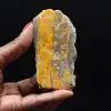 Jasper Bumblebee: Verzamelaarsplaquette - 1