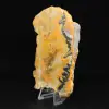 Gepolijst jaspis hommel-exemplaar - 2