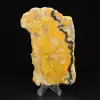 Bumblebee Jasper: Java-slice - 3