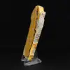 Bumblebee Jasper: Java-slice - 5