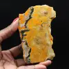Bumblebee Jasper: Java-slice - 1