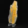 Hommeljaspis: Indonesisch exemplaar - 2