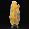 Hommeljaspis: Indonesisch exemplaar - 4