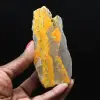 Hommeljaspis: Indonesisch exemplaar - 1