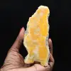 Hommeljaspisplaquette uit Indonesië - 1