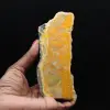 Dikke plak Indonesische hommeljaspis - 1
