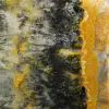 Gepolijst compact exemplaar van Hommeljaspis - 7