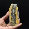 Bumblebee Jaspis Plaque: Java Shard - 1