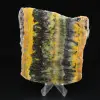 Indonesische Hommeljaspis: grote, esthetische plaat - 4