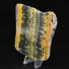 Indonesische Hommeljaspis: grote, esthetische plaat - 5