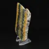 Indonesische Hommeljaspis: grote, esthetische plaat - 6