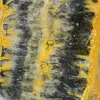 Indonesische Hommeljaspis: grote, esthetische plaat - 7