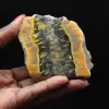 Hommeljaspis: vierkante sedimentaire plaat - 1