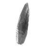 Fossiele Orthoceras - 2