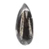 Fossiele orthoceras uit Marokko - 0