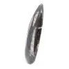 Fossiele orthoceras uit Marokko - 2