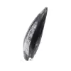 Fossiele Orthoceras - 2