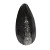 Fossiele orthoceras uit Marokko - 0