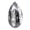 Fossiele Orthoceras - 0