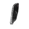 Fossiele Orthoceras - 2