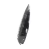 Fossiele Orthoceras - 2