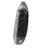 Fossiele orthoceras uit Marokko - 2