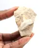 Fossiele tand van Otodus uit Marokko - 0