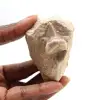 Fossiele tand van Otodus - 0
