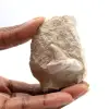 Fossiele tand van Otodus - 0