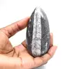 Fossiele orthoceras uit Marokko - 1