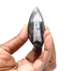Fossiele Orthoceras - 1