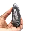 Fossiele Orthoceras - 1