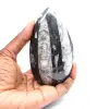 Fossiele Orthoceras - 1