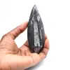 Fossiele orthoceras uit Marokko - 1
