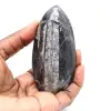 Fossiele orthoceras uit Marokko - 1