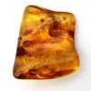 Baltische barnsteen fossiele hars – Kiezel voor liefhebbers - 2