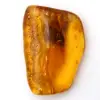 Baltische barnsteen – Mineralogie Kiezel Item - 0