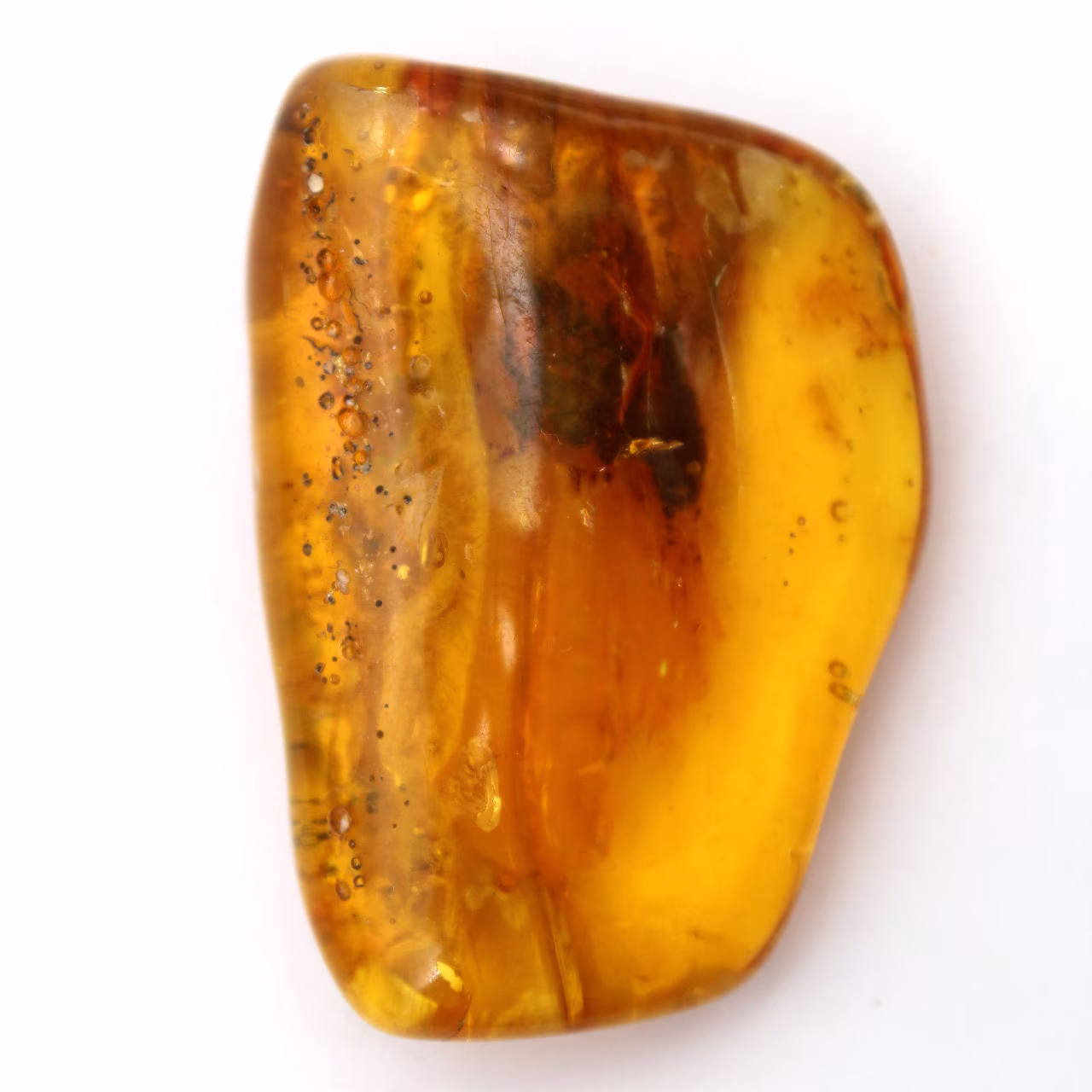 Baltische barnsteen – Mineralogie Kiezel Item