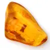 Gele Baltische barnsteen – gepolijste kiezelsteen, decoratief object - 0