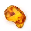 Kleine gele amberkleurige kiezelsteen – verzamelobject van fossielen - 0