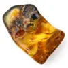 Authentieke gepolijste barnsteen uit Litouwen - Mineralogie-exemplaar - 2
