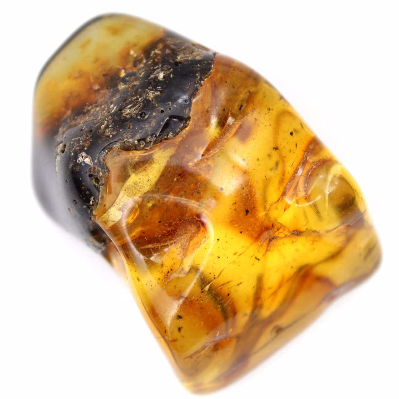 Authentieke gepolijste barnsteen uit Litouwen - Mineralogie-exemplaar
