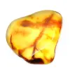 Kleine gepolijste Litouwse barnsteenkiezel - Authenticiteit en wetenschap - 0