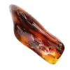 Gepolijste barnsteenkiezel uit Litouwen - mineraal decoratief object - 0